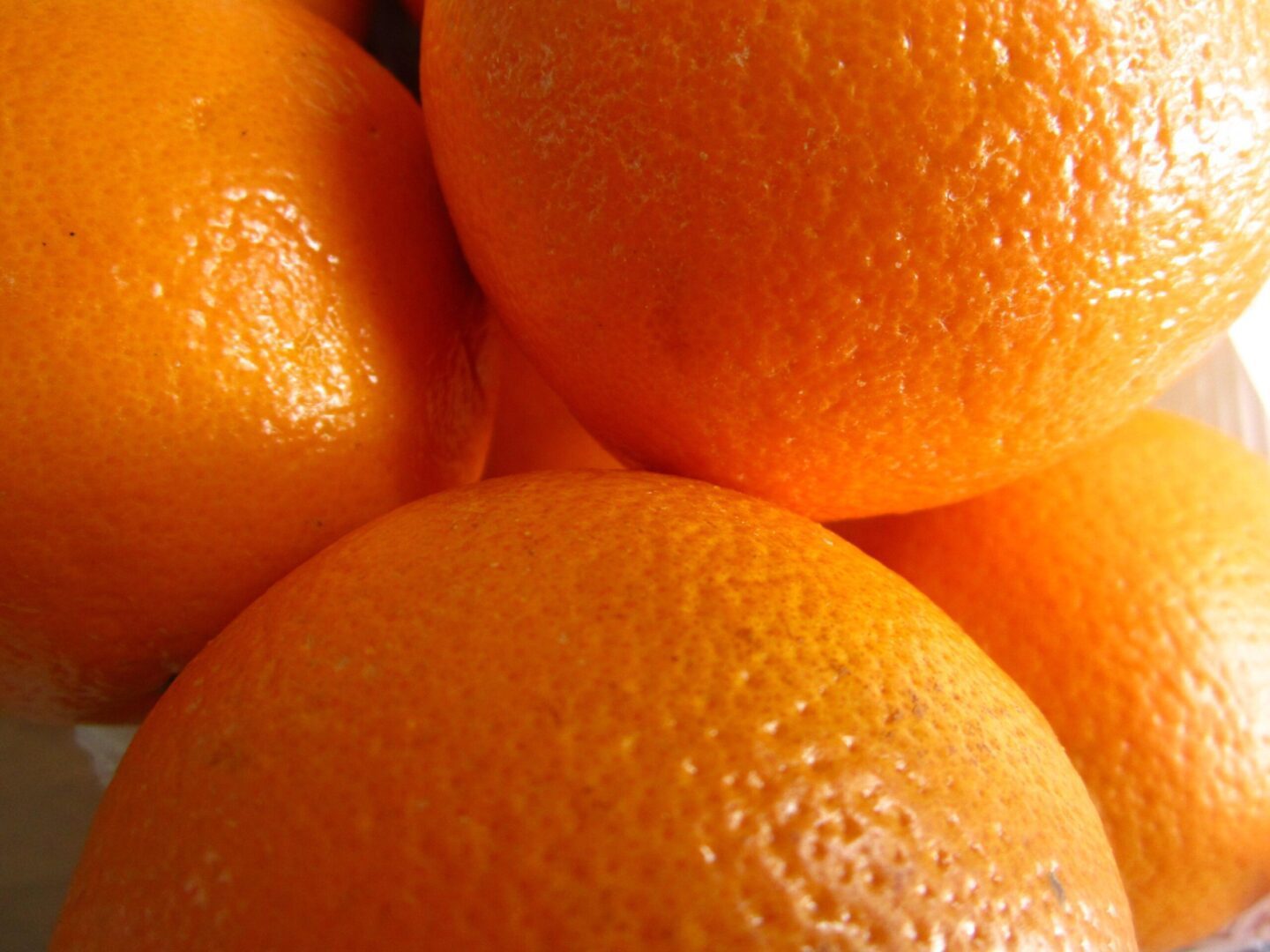 A close up of several oranges in the sun.